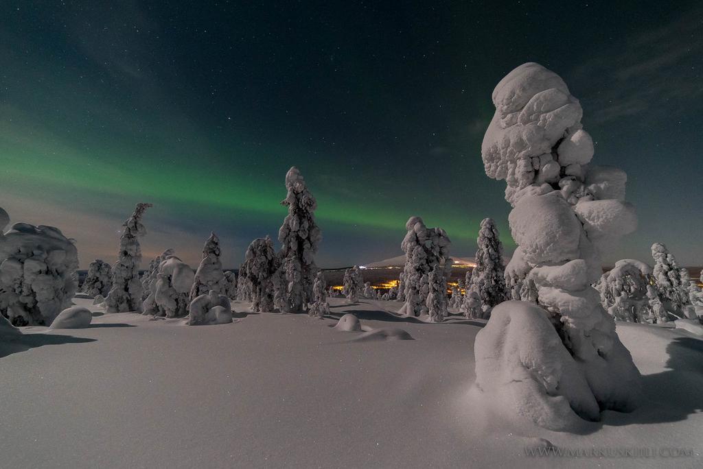 Yllaeksen Yoepuu Villa Äkäslompolo Exterior foto